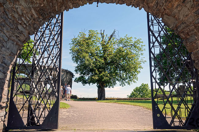 Blick durch ein altes, rundbogiges Steintor mit weit geöffneten, schwarzen Schmiedeeisentoren. Der Weg führt hinaus auf eine Grünfläche mit einem großen, belaubten Baum im Zentrum unter einem strahlend blauen Himmel.