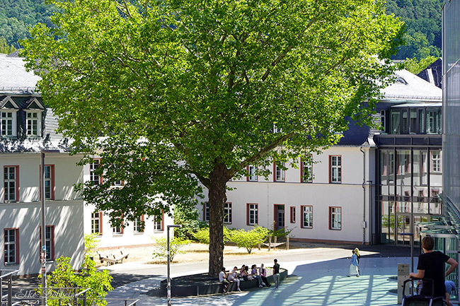  Ein großer, ausladender Laubbaum spendet Schatten auf einem sonnigen Platz der Universität Marburg. Im Hintergrund sind weiße Universitätsgebäude mit vielen Fenstern und ein modernes Glasgebäude zu sehen. Mehrere Menschen sitzen auf Bänke unter dem Baum.