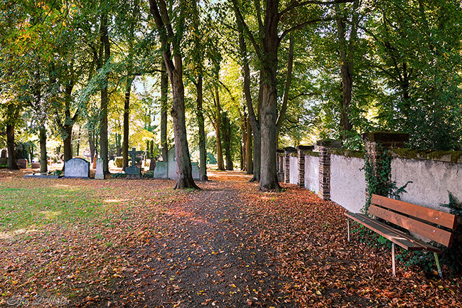 Blick über den Friedhof an der Feldkirche in Neuwied-Feldkirchen. Herbstlich gefärbte Bäume und sanftes Licht schaffen eine stille Atmosphäre des Gedenkens an Allerheiligen.