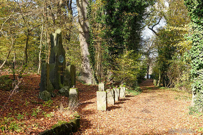 Waldpfad am Krahnenberg mit herbstlich braunem Laub und einem steinernen Denkmal in der Mitte, links und rechts begrenzt von Bäumen und Steinsäulen.